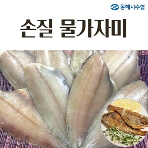 [동해시수협] 동해안 손질 물가자미 8~10마리 (1kg내외)